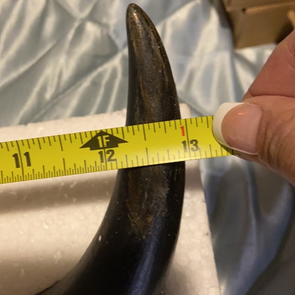 Veteran Resin skull - Picture 2 of 3